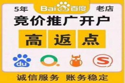 某公司通过SEM运营提升品牌知名度的实践